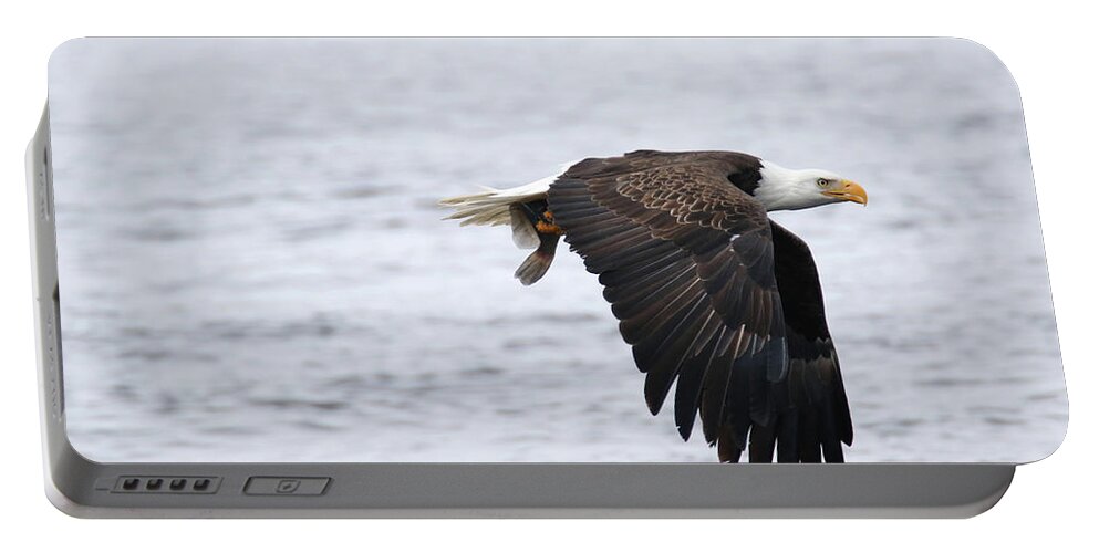 Bald Eagle Portable Battery Charger featuring the photograph An Eagles Catch 11 by Brook Burling