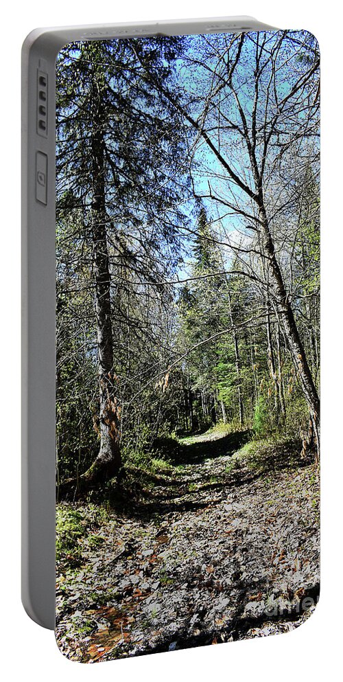 Nature Portable Battery Charger featuring the photograph An Easy Stroll by Skip Willits
