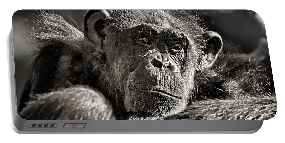 Elderly Chimp Portable Battery Charger featuring the photograph An Elderly Chimp in Thought by Jim Fitzpatrick