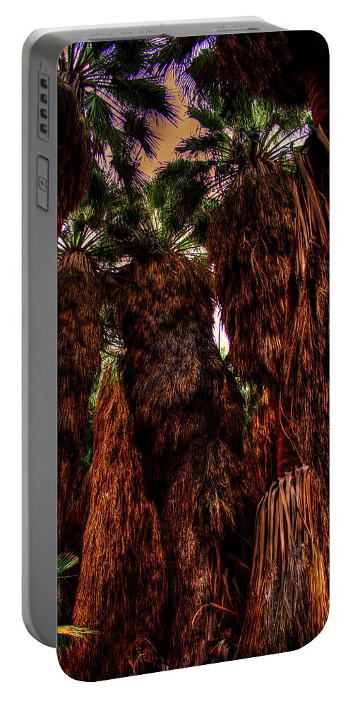 California Portable Battery Charger featuring the photograph Ancient Palms at Thousand Palms Preserve by Roger Passman