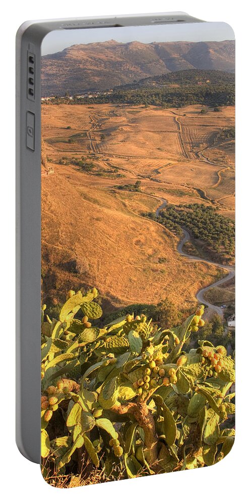 Cacti Portable Battery Charger featuring the photograph Andalucian Golden Valley by Ian Middleton