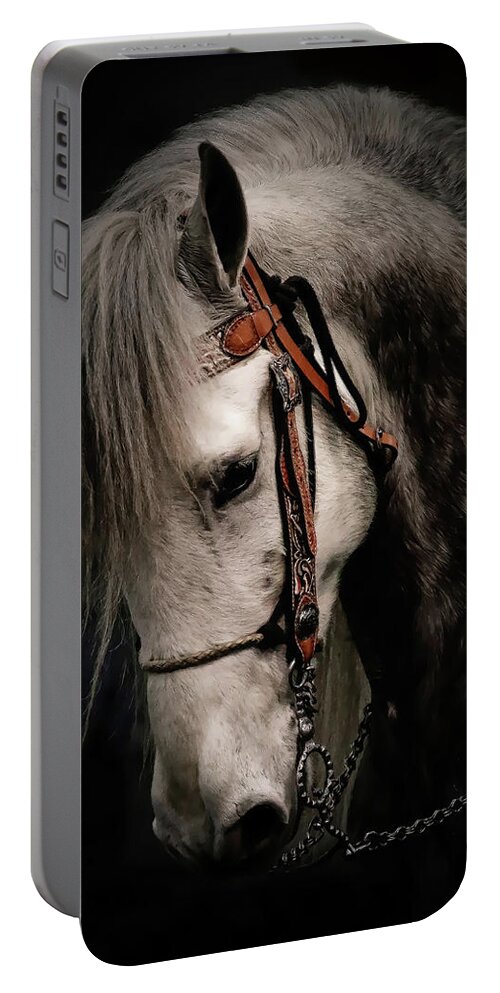 Andalusian Portable Battery Charger featuring the photograph Andalusian Horse by Athena Mckinzie