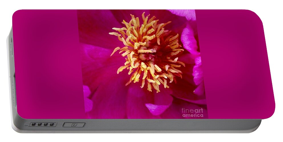 Beauty Portable Battery Charger featuring the photograph Anemone by Denise Railey