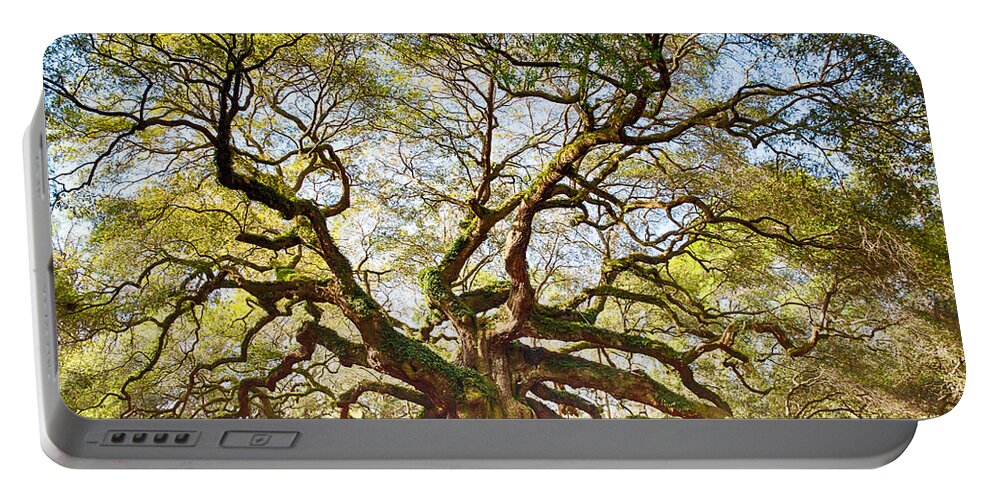 Tree Portable Battery Charger featuring the photograph Angel Oak in Spring by Patricia Schaefer