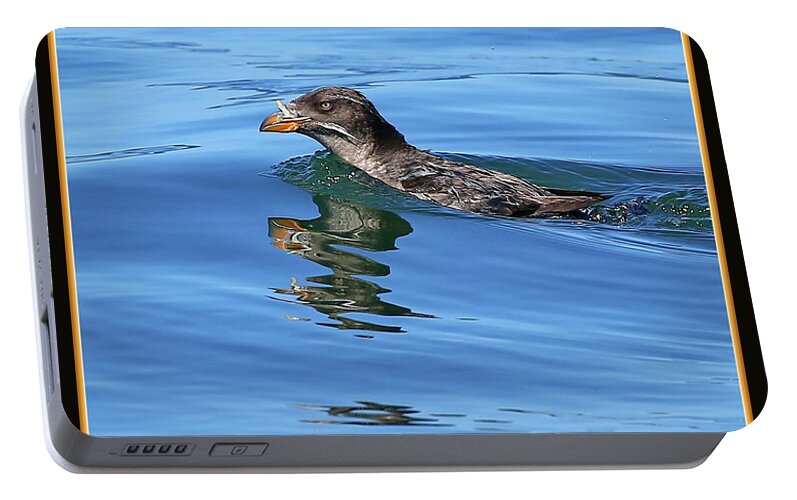 Water Fowl Portable Battery Charger featuring the photograph Angry bird by BYETPhotography