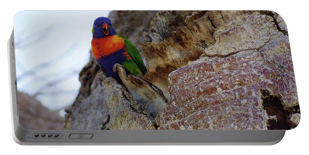 Rainbow Lorikeet Portable Battery Charger featuring the photograph Angry Lorikeet by Cassandra Buckley