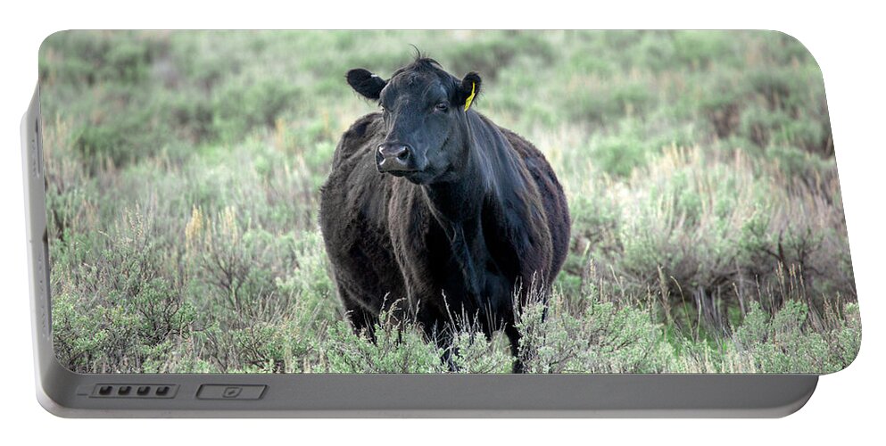 Black Angus Portable Battery Charger featuring the photograph Angus and Sage by Todd Klassy