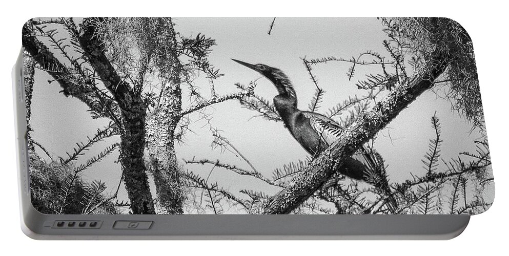 Bird Portable Battery Charger featuring the photograph Anhinga by Barry Bohn