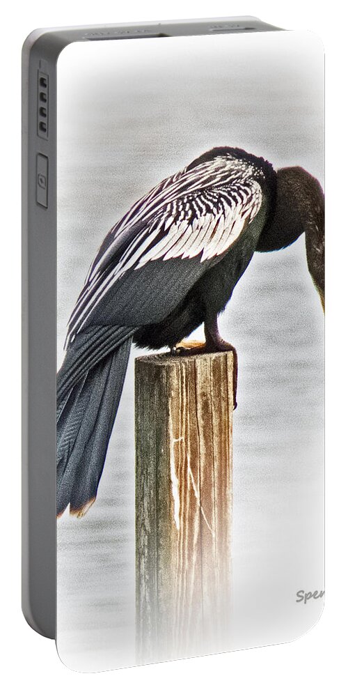 Florida Portable Battery Charger featuring the photograph Anhinga Male by T Guy Spencer