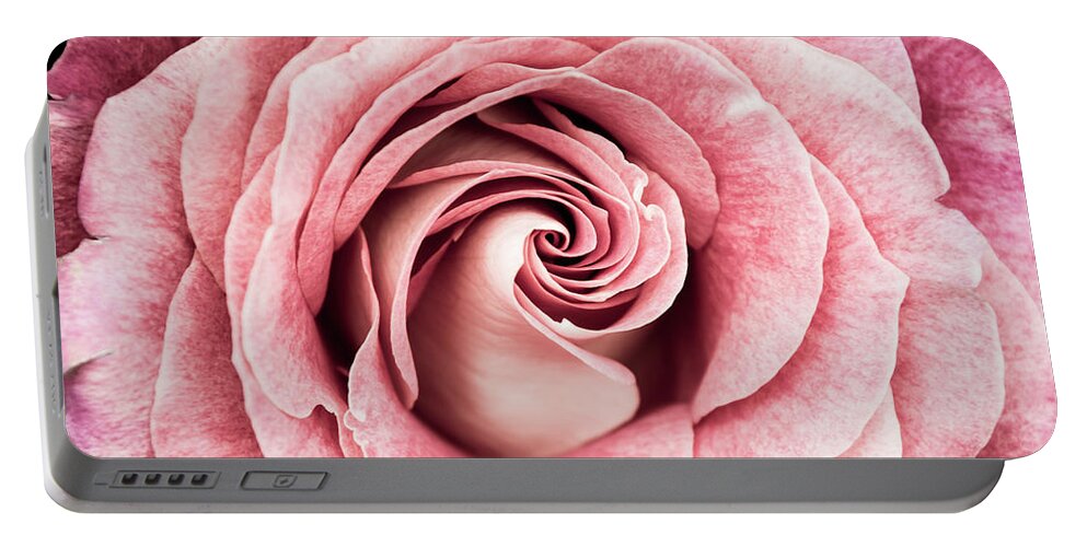 Petal Portable Battery Charger featuring the photograph Anniversary Rose by Deborah Klubertanz