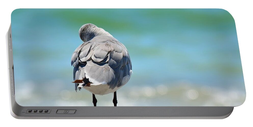 Pigeon Portable Battery Charger featuring the photograph Another Day Dreamer by Alison Belsan Horton