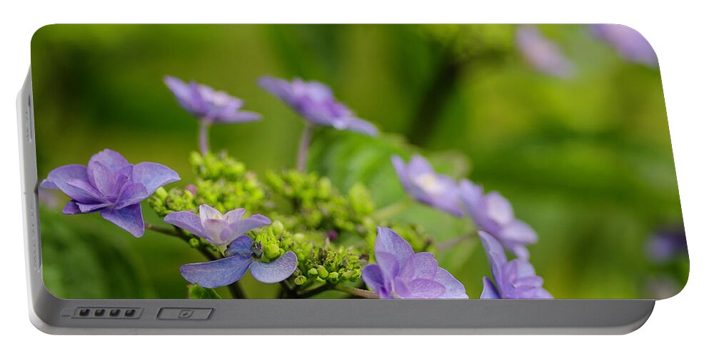 Flower Portable Battery Charger featuring the photograph Another Floral Macro by Nick Boren