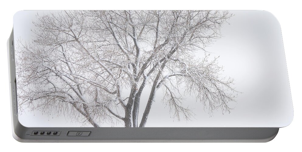 Winter Portable Battery Charger featuring the photograph Another Winter Alone by Darren White