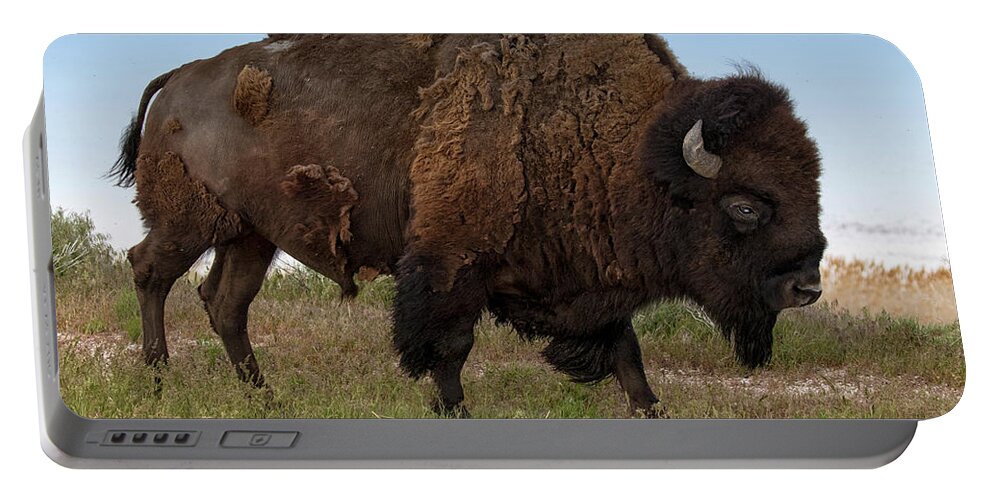 Bison Portable Battery Charger featuring the photograph Antelope Island Bison by Art Cole