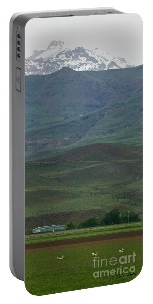 Antelope Portable Battery Charger featuring the photograph Antelope-Signed-#6727 by J L Woody Wooden