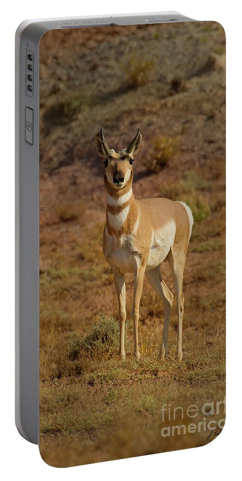 Antelope Portable Battery Charger featuring the photograph Antelope-Signed-#8283 by J L Woody Wooden