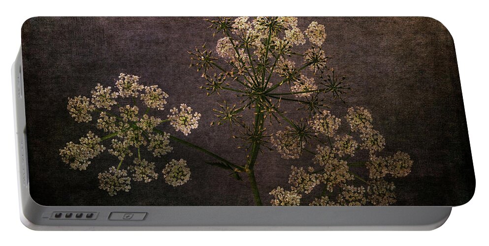 Contemporary Portable Battery Charger featuring the photograph Anthriscus Sylvestris by Randi Grace Nilsberg
