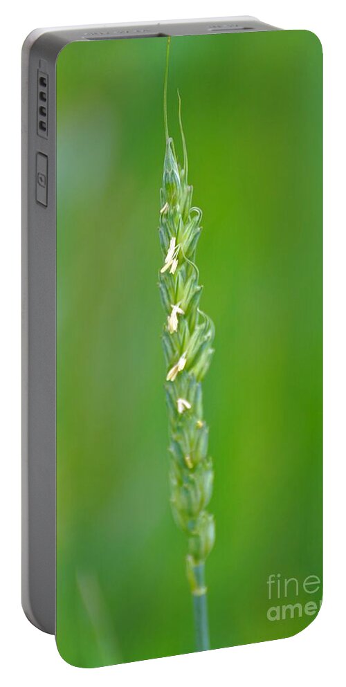 Wheat Portable Battery Charger featuring the photograph Antietam Wheat by Merle Grenz