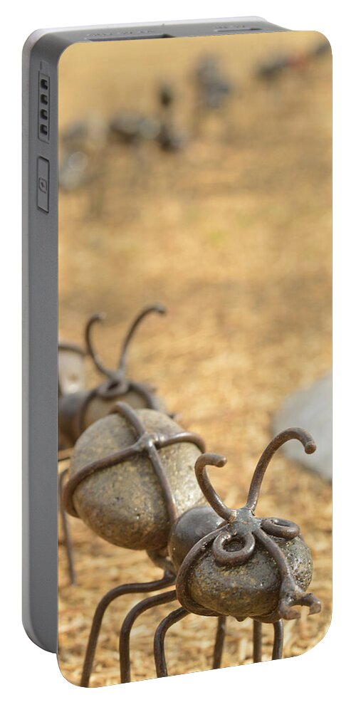 Ants Portable Battery Charger featuring the photograph Ants Come Marching by Pamela Patch