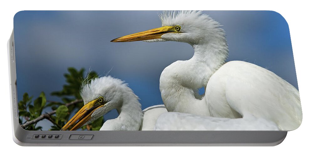 Egret Portable Battery Charger featuring the photograph Anxiously Waiting by Christopher Holmes