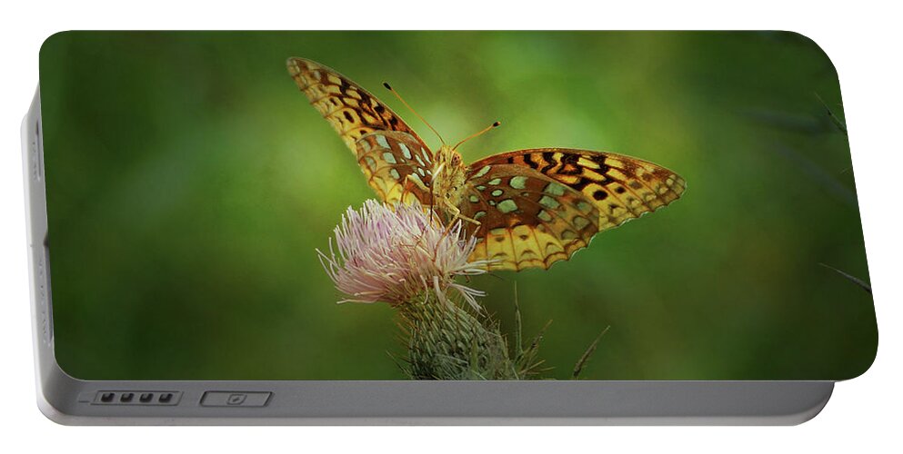Butterfly Portable Battery Charger featuring the photograph Aphrodite Fritillary Butterfly by Sandy Keeton