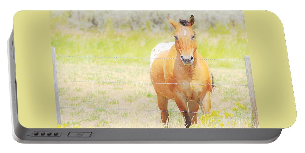 Horse Portable Battery Charger featuring the photograph Appaloosa by Merle Grenz