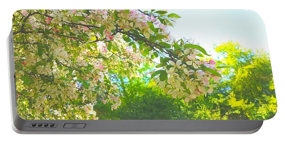 Appleblossom Portable Battery Charger featuring the photograph Apple Blossom Haze by Rowena Tutty