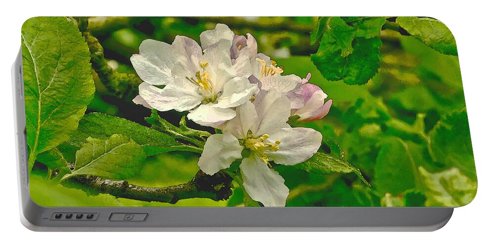 Apple Flowers Portable Battery Charger featuring the photograph Apple Flowers. by Elena Perelman