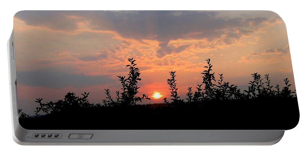 Sunset Portable Battery Charger featuring the photograph Apple Orchard Silhouette by Will Borden
