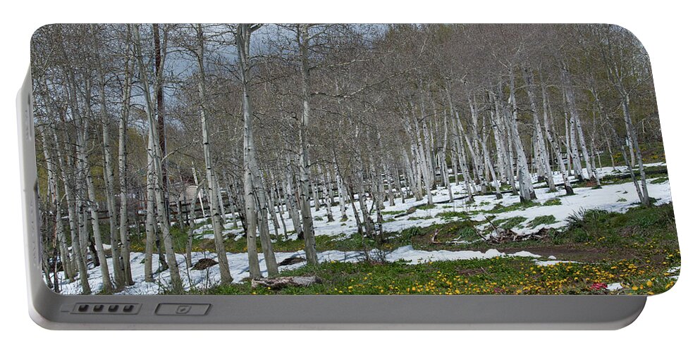 Aspen Portable Battery Charger featuring the photograph Approaching Spring in the Aspen Forest by Cascade Colors