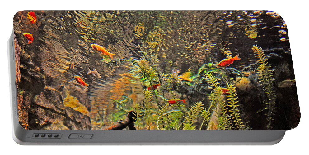 Aquarium Portable Battery Charger featuring the photograph Aquarium Reflections by Lydia Holly