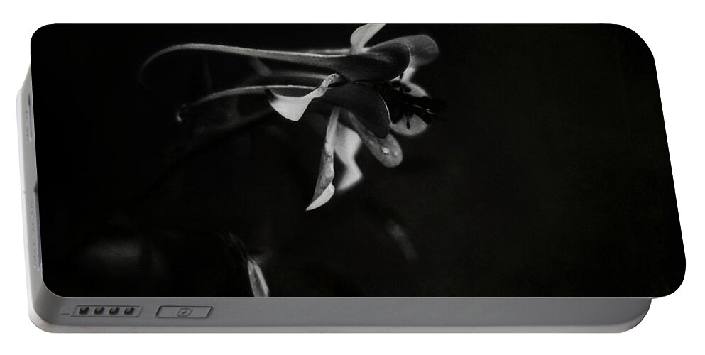 White Portable Battery Charger featuring the photograph Aquilegia Black and White by Rebecca Sherman