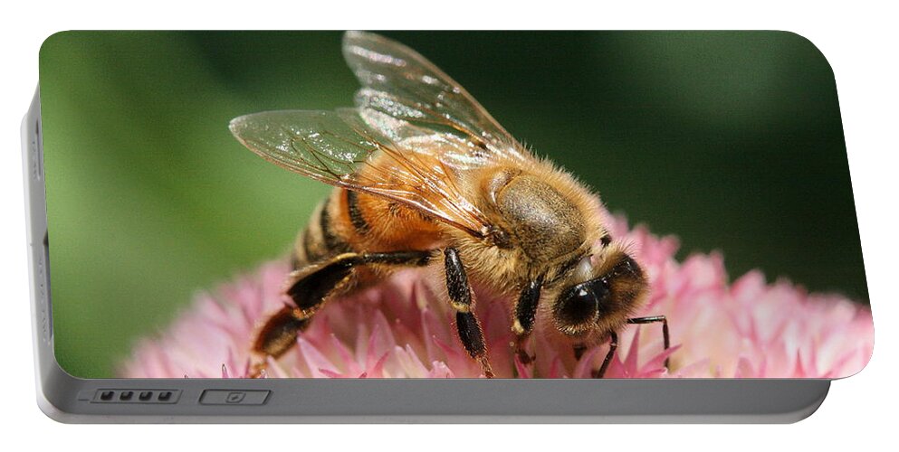 Bee Portable Battery Charger featuring the photograph Arched by Angela Rath