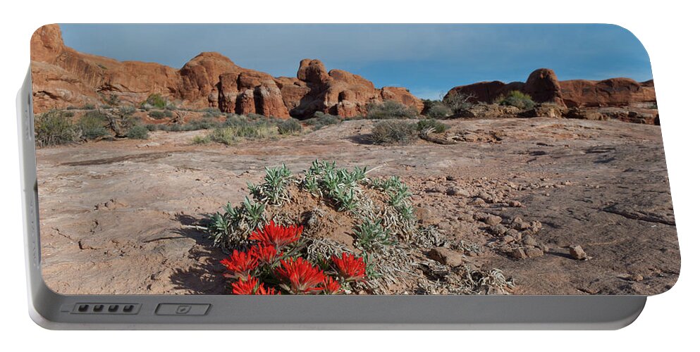 Arches National Park Portable Battery Charger featuring the photograph Arches National Park Indian Paintbrush Landscape by Cascade Colors