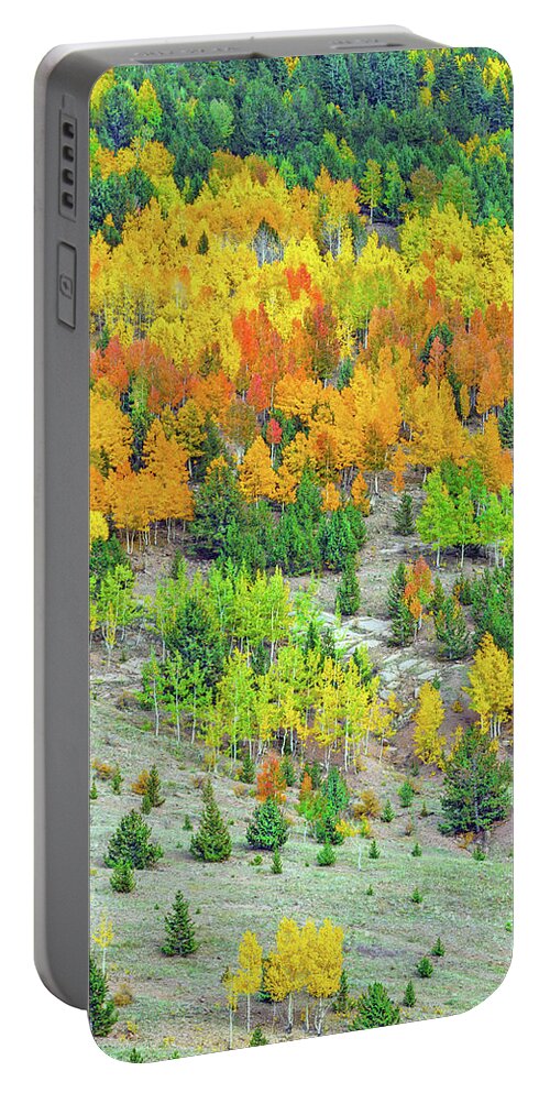 Fall Colors Portable Battery Charger featuring the photograph Ariana, The Greek Goddess Of Colors And Emotions by Bijan Pirnia