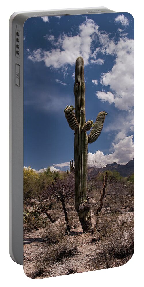 Arizona Portable Battery Charger featuring the photograph Arizona Cactus by David Palmer