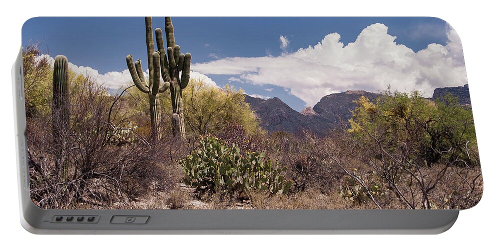 Arizona Portable Battery Charger featuring the photograph Arizona Desert by David Palmer