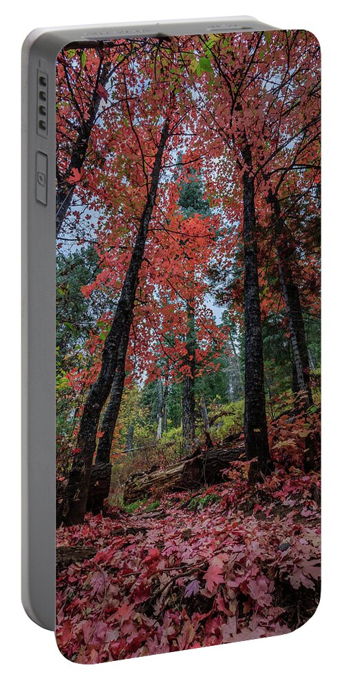 Autumn Portable Battery Charger featuring the photograph Arizona Red by Dennis Swena