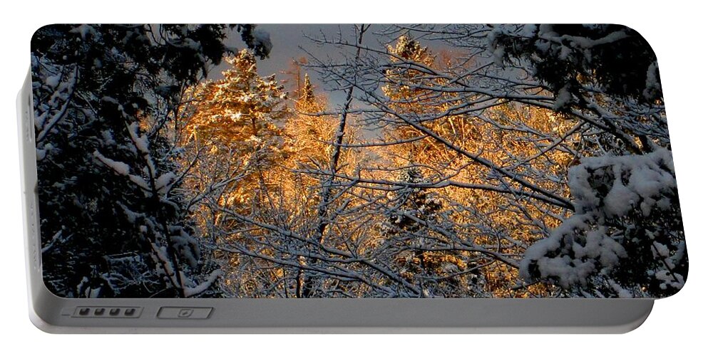 Trees Portable Battery Charger featuring the photograph Arrival by Elfriede Fulda