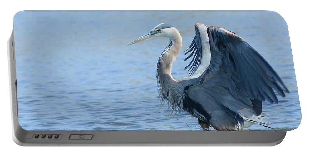 Great Blue Heron Portable Battery Charger featuring the photograph Arrival by Fraida Gutovich