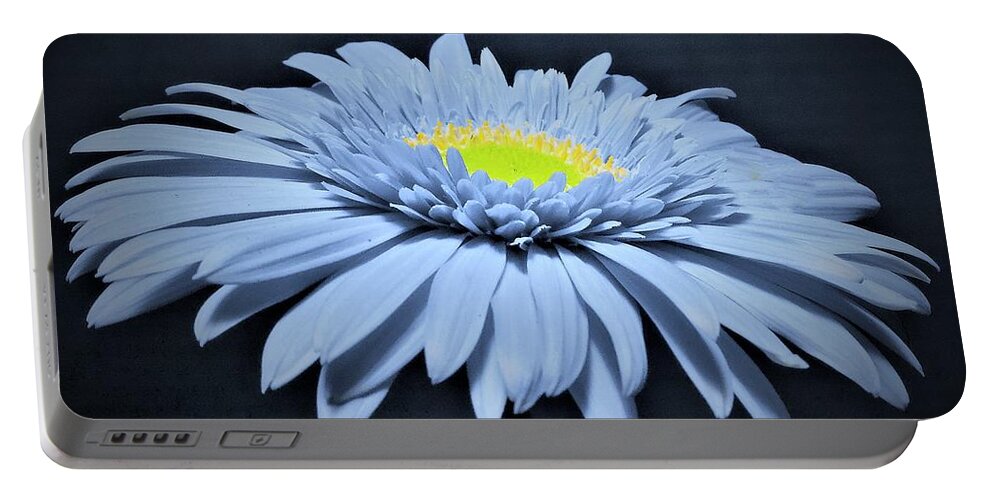 Daisy Portable Battery Charger featuring the photograph Artic Blue Gerber Daisy by Chad and Stacey Hall