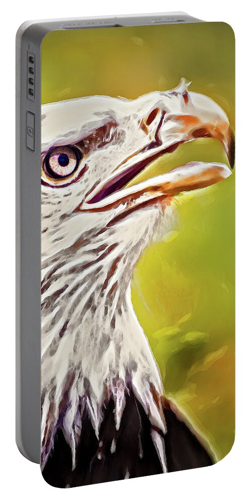 Eagle Portable Battery Charger featuring the photograph Artistic Akron Eagle by Don Johnson