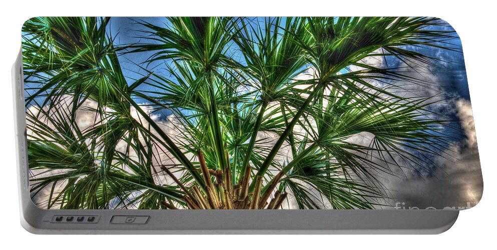 Palmetto Portable Battery Charger featuring the photograph Artistic Palmetto Sky by Dale Powell