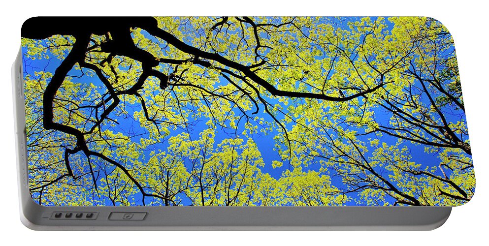 Tree Canopy Portable Battery Charger featuring the photograph Artsy Tree Canopy Series, Early Spring - # 03 by The James Roney Collection
