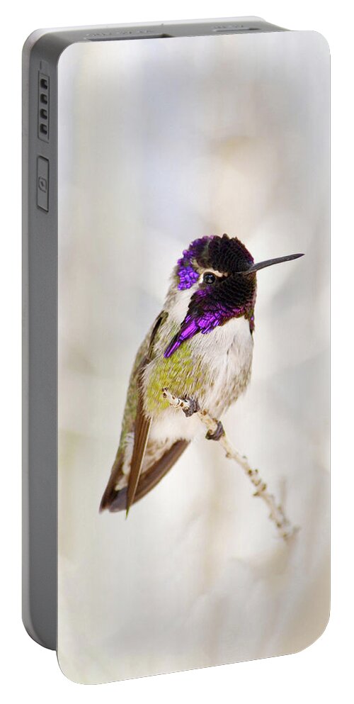 Hummingbird Portable Battery Charger featuring the photograph Hummingbird by Rebecca Margraf