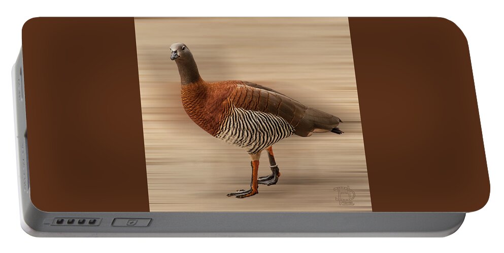  Portable Battery Charger featuring the photograph Ashy-headed Goose by Daniel Hebard