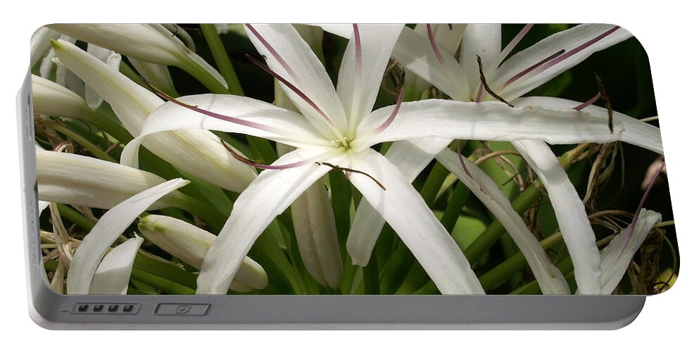 Flower Portable Battery Charger featuring the photograph Asiatic Poison Lily by Amy Fose