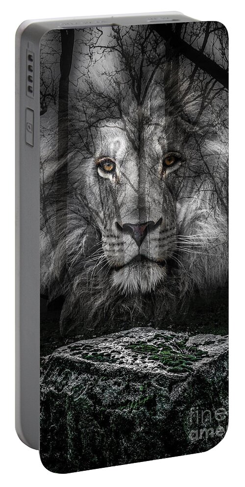 Aslan Portable Battery Charger featuring the photograph Aslan And The Stone Table by Michael Arend