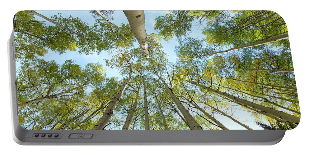 Aspens Portable Battery Charger featuring the photograph Aspen Canopy by Nancy Dunivin