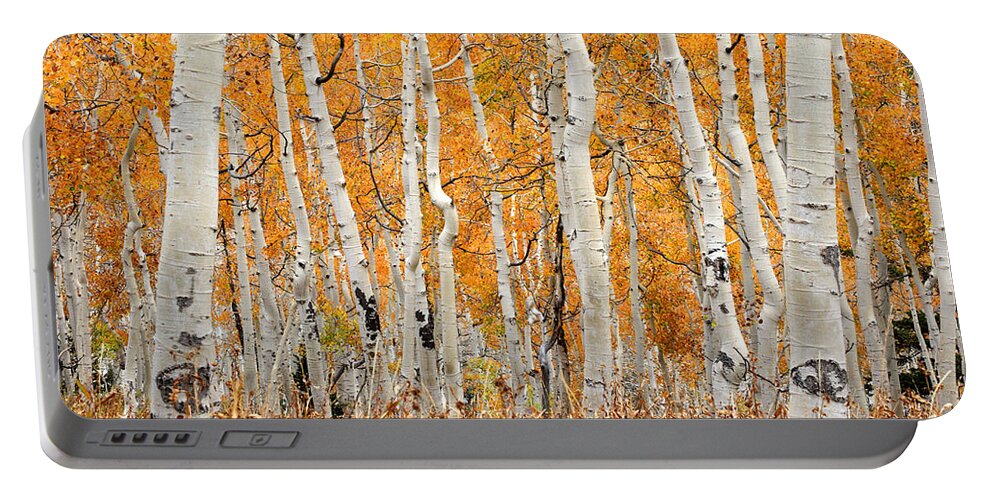 Aspen Portable Battery Charger featuring the photograph Aspen Forest in Fall by Brett Pelletier